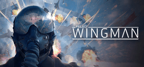 僚机计划|Project Wingman
